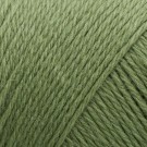 Arwetta 243 Basswood Green thumbnail