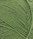  Sunday Vineyard green 8753 thumbnail