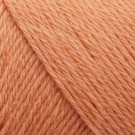 Arwetta 254 Coral thumbnail