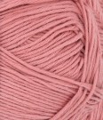 4323 Rosa Mandarin petit  thumbnail