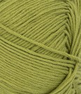 9564 Matcha Mandarin Petit  thumbnail