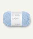 Sunday Brunnera Blue 5812 thumbnail