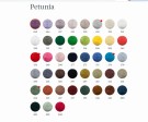 Farger Petunia 2020 thumbnail
