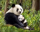 Diamond painting Panda mom DE7131 thumbnail