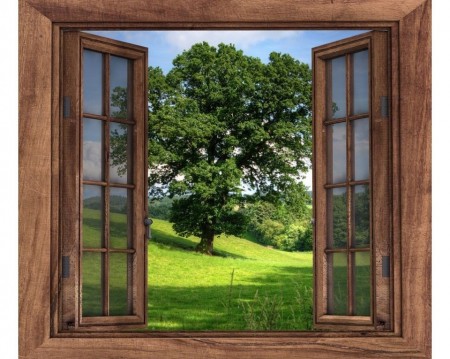 Window to the forrest Diamond Painting DE7015