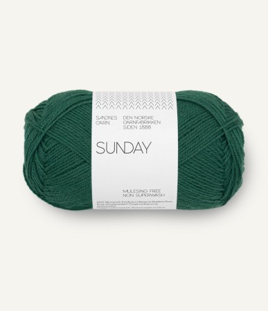Sunday Rainforest 7772