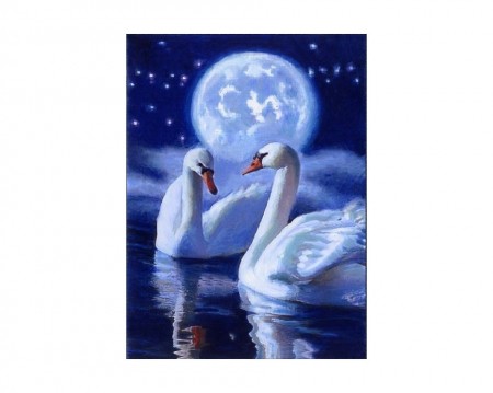 Mystic swans - Diamond Painting