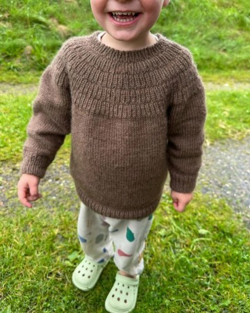 Ankers trøye (Oppskrift)  Petite Knit