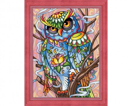 Colorful owl - Diamond Painting