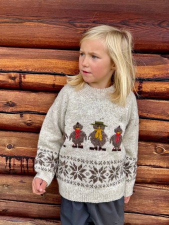 Rauma Garn Flåklypa genser (oppskrift) papir