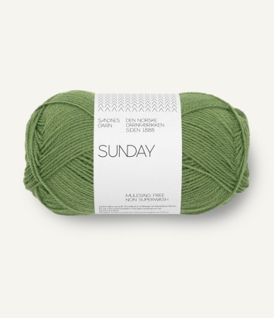  Sunday Vineyard green 8753
