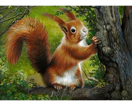 Forest squirrel - Diamond Painting 38X27CM