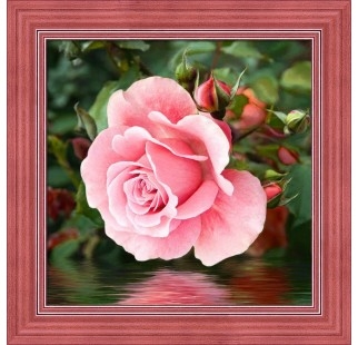 Rose on the water - Diamond Painting